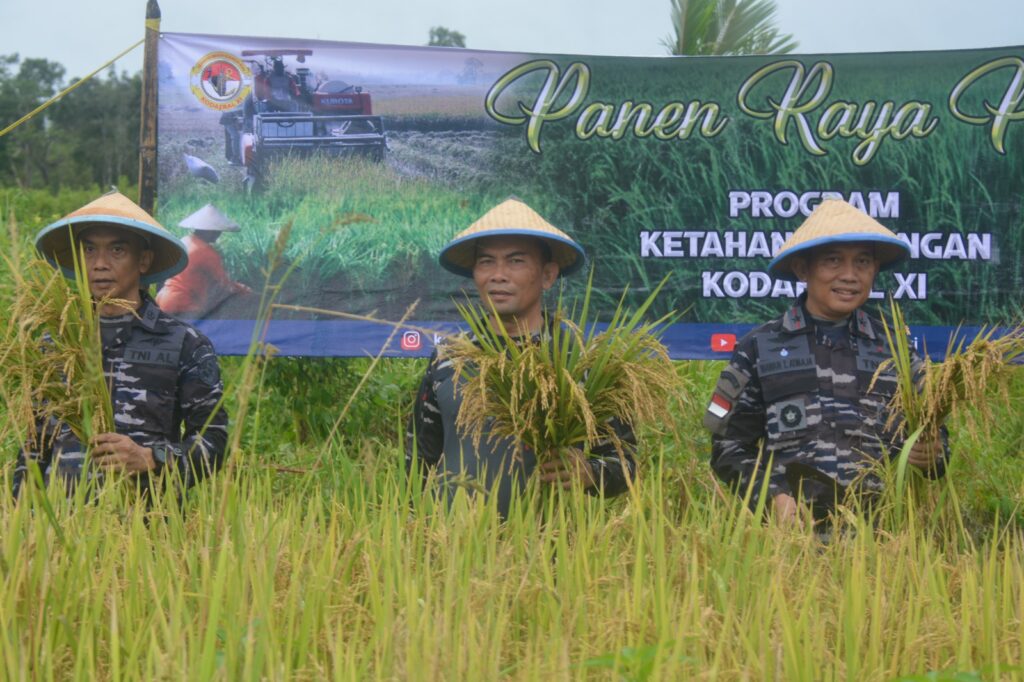WUJUD NYATA TINGKATKAN JUMLAH PRODUKSI PANGAN, KOMANDAN KODAERAL XI PIMPIN PANEN RAYA PADI DI SERMAYAM II.