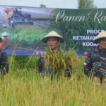 WUJUD NYATA TINGKATKAN JUMLAH PRODUKSI PANGAN, KOMANDAN KODAERAL XI PIMPIN PANEN RAYA PADI DI SERMAYAM II.